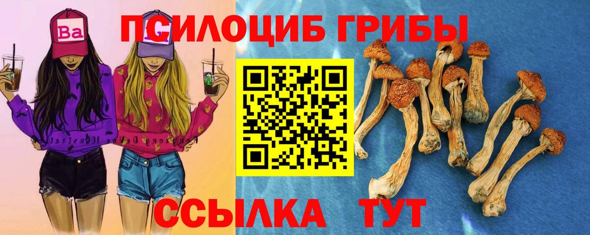 Псилоцибиновые грибы Magic Shrooms Усть-Кут