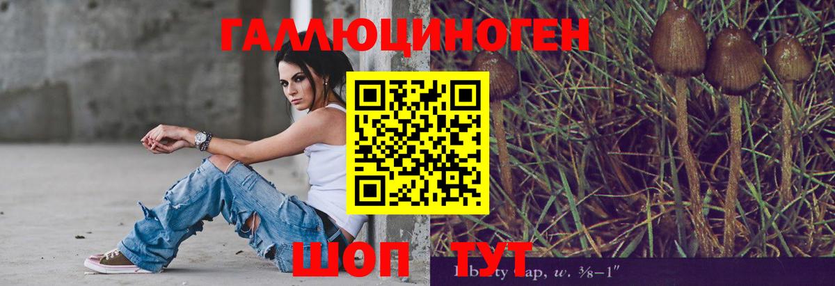 Псилоцибиновые грибы MAGIC MUSHROOMS  Вход с VPN  Усть-Кут 